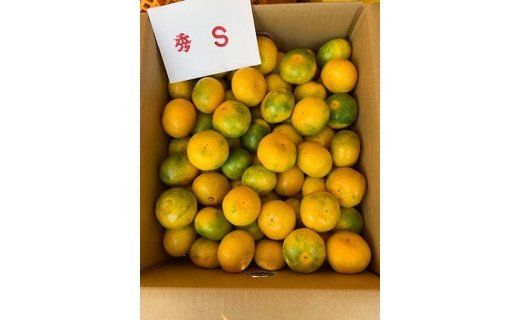 極早生みかん 赤秀品 Sサイズ 5kg CC18