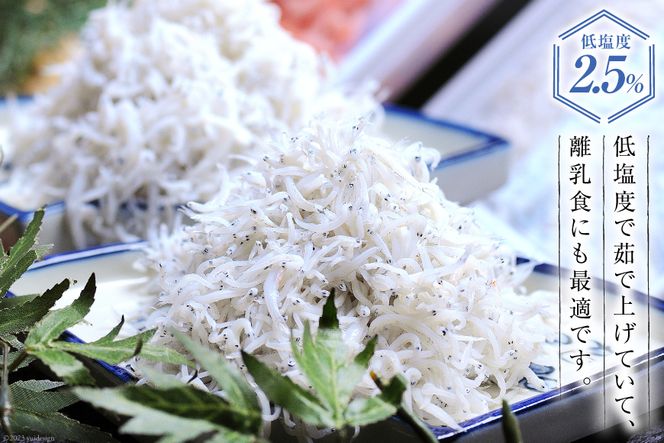 駿河湾産 しらす干し100g×1 釜上げしらす120g×2 [マルあ水産 静岡県 吉田町 22424638] 魚 海鮮 しらす 白子 シラス 天日 じゃこ 小分け おじゃこ しらす干し