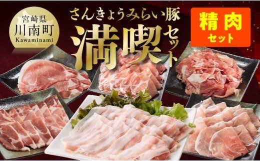 さんきょうみらい豚満喫セット(精肉) [ 満喫 セット 精肉 豚肉 宮崎県産 川南町産 バラ 肩ロース ウデ モモ しゃぶしゃぶ スライス ] [E0102b]