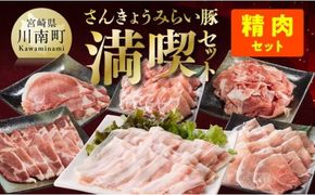 さんきょうみらい豚満喫セット（精肉） 【 満喫 セット 精肉 豚肉 宮崎県産 川南町産 バラ 肩ロース ウデ モモ しゃぶしゃぶ スライス 】 [E0102b]