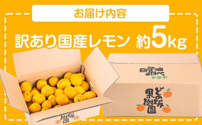 レモン 訳あり 国産 レモン 5kg (サイズ混合) ノーワックス 減農薬 どの坂果樹園《2025年2月上旬-5月末頃より出荷》 和歌山県 日高川町 レモン れもん 檸檬 家庭用 旬 新鮮 果物 柑橘 フルーツ 訳あり 大容量 Lemon remon 送料無料---wshg_248_ac25_23_10000_5kg---