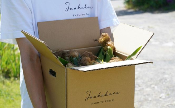 ＜2026年先行予約＞【富士山の麓で育つ】河口湖ブランドとうもろこしInakakara「恵味ゴールド」6本入 FBA001