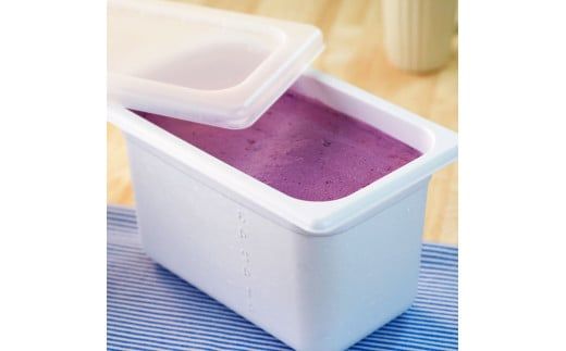 【四国一小さなまちのアイス屋さん】≪松崎冷菓≫大容量アイス 4000ml ★ブルーベリー★