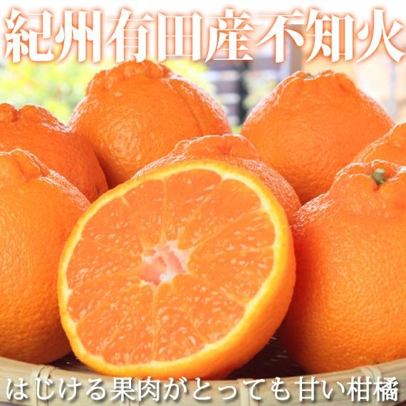 【ご家庭用訳有り】紀州有田産不知火(しらぬひ) 約8.5kg【2025年2月中旬以降発送】【先行予約】【UT41w】AN015