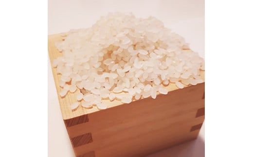 【令和7年度産】《新米》【11月下旬より順次発送予定】大和米　奈良県広陵町産ヒノヒカリ　七分づき米10kg// お米 ひのひかり お米 広陵町