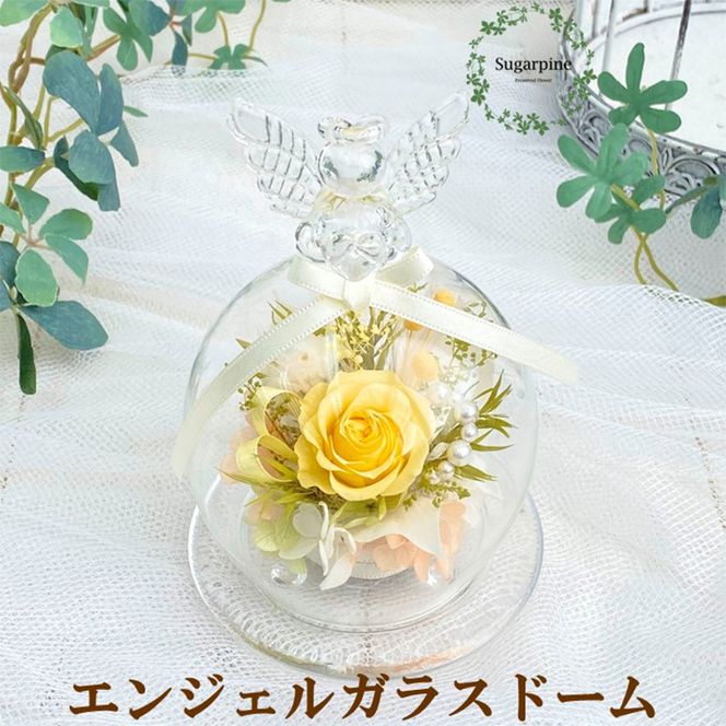 yʌtszAJ217-1 vU[uht[@@@@@yGWF/CG[zts@@@@@VK[pC
