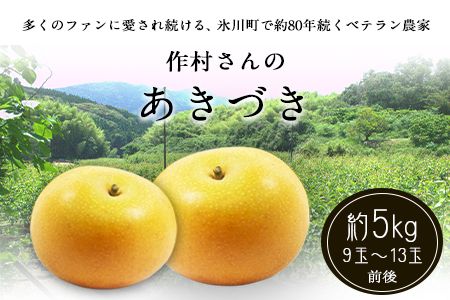 [先行予約]作村果樹園のあきづき梨 約5kg(9〜13玉前後) 熊本県氷川町産 作村果樹園[8月下旬-9月末頃出荷]梨 なし---sh_csakuaki_bc8_26_17500_5kg---