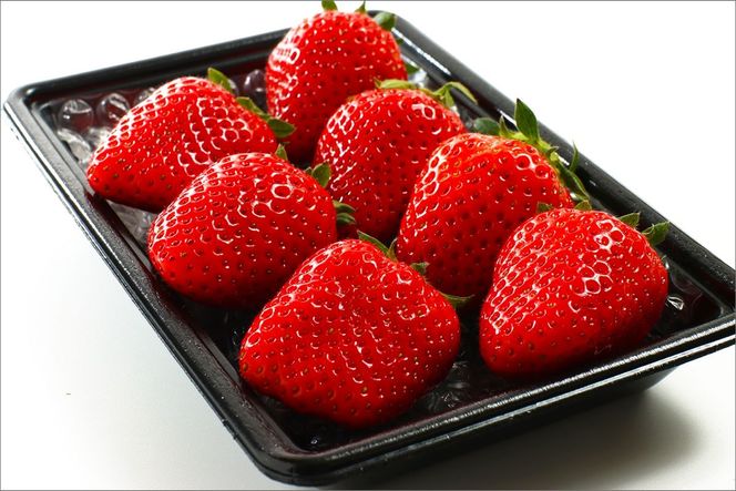 【先行予約／数量限定】京都丹後産 完熟いちご（かおりの） 2パック（2026年3月中旬～発送）　国産 いちご イチゴ 苺 ストロベリー すとろべりー フルーツ ふるーつ 果物 くだもの 農家応援 生産者応援 AM00667