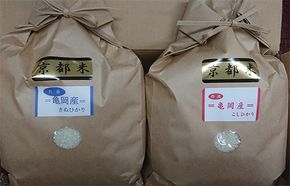 米 契約農家の亀岡米食べ比べセット（コシヒカリ5kg、キヌヒカリ5kg）◆京都丹波産 特Ａ