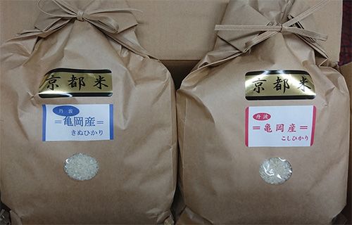米 契約農家の亀岡米食べ比べセット（コシヒカリ 5kg キヌヒカリ 5kg）10kg ◆食べくらべ 米 白米 ふるさと納税米