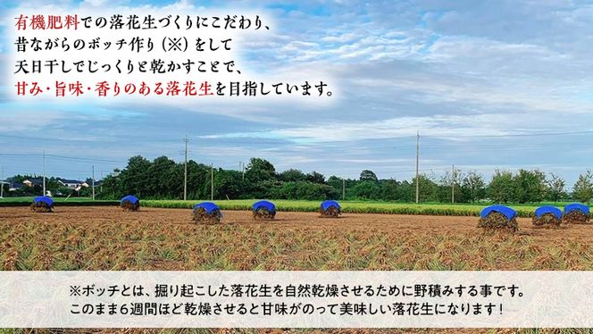 牛久市産落花生3種食べ比べ3袋セット 牛久市産 落花生 3種食べ比べ大小3袋セット Qナッツ Qなっつ 半立 はんだち ナカテユタカ 中手豊 ピーナッツ ピーナツ 食べ比べ おやつ おつまみ お菓子 お取り寄せ 詰め合わせ お土産 贈り物 ギフト プチギフト 国産 茨城 特産品 農園 自家栽培 ビールのお供 [AX001us]