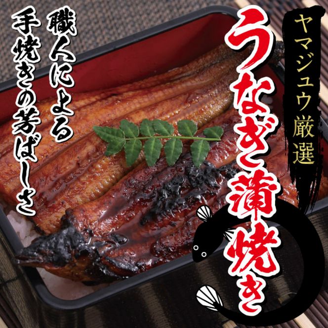 徳さんオススメ定期便【２ヶ月連続お届け】yj040