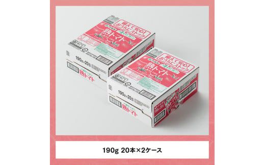 【6ヶ月定期便】伊藤園 熟トマト 190ｇ×40本【定期便 全6回 野菜飲料 野菜ジュース 野菜汁 トマトジュース ジュース 飲料 ソフトドリンク 完熟トマト】 [D07315t6]