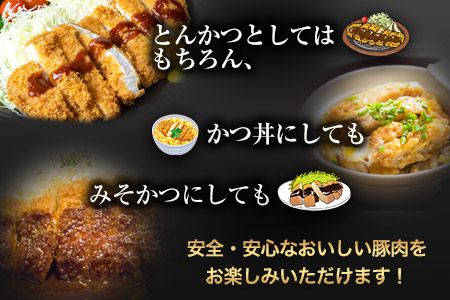 まうごつうまかとんかつセット 1kg 清村養豚《60日以内に出荷予定(土日祝除く)》 ロース ヒレ 肩ロース とんかつ かつ丼 みそかつ 熊本県 御船町---mifune_kym_1_1kg---