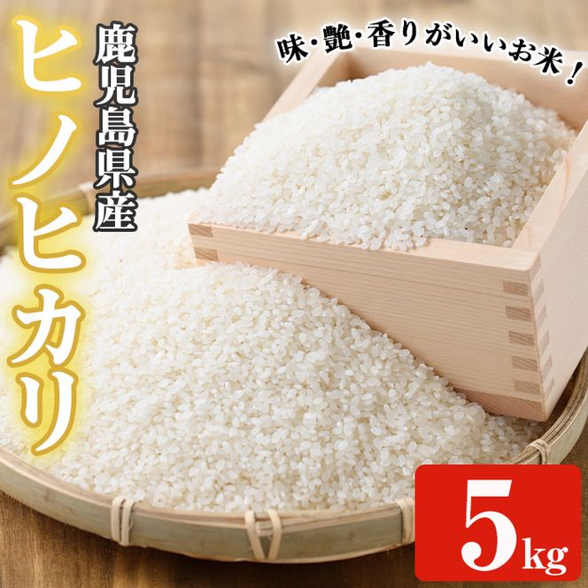 ひのひかり20kg 令和4年10月収穫 鹿児島県産 お米 白米