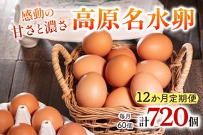 [定期便／12ヶ月] 高原名水卵 60個×12か月連続 豊かな自然で育ったアスタキサンチン含有の高原名水卵【感動の甘さと濃さ】｜こだわり卵 たまご タマゴ 玉子 生卵 鶏卵 高原養鶏場 矢板市産 