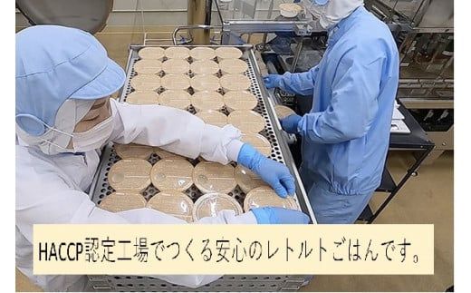 簡単便利！新之助 パックご飯 150g×10個入り 1039016 お米 米 パックごはん