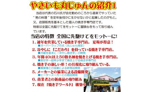 焼き芋 冷凍 冷やし焼き芋 シャリシャリちゃん 1kg(100g×10) 紅はるか＆シルクスイート H047-033