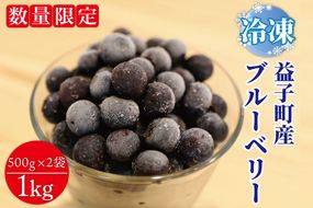 ＼数量限定／益子町産 冷凍ブルーベリー 1kg (500g×2袋) フルーツ 果物 (AA020-1)