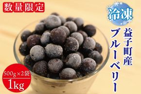 ＼数量限定／【先行予約】【9月より発送開始】益子町産 冷凍ブルーベリー 1kg (500g×2袋) フルーツ 果物 (AA020-1)