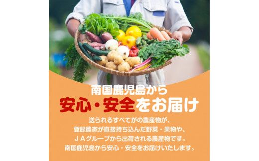 【JA直売所セレクト】旬鮮野菜・果物セット（12～14品目）　K072-001