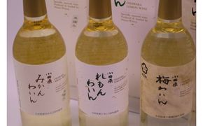 23-2187　城下町小田原の飲み比べわいんCセット(3本セット)