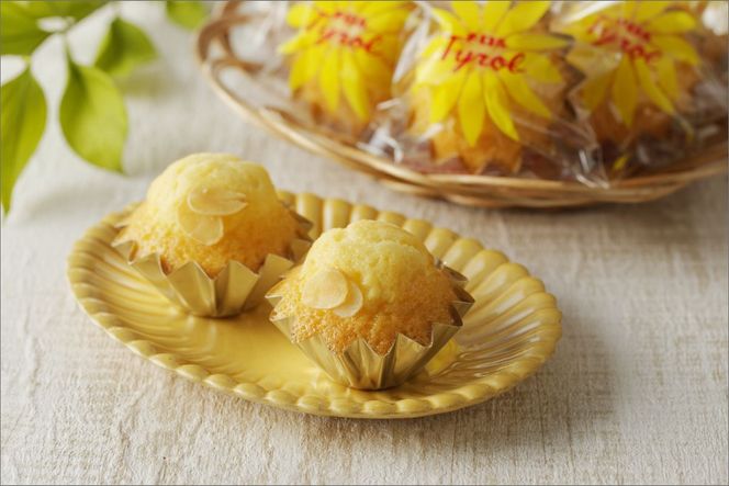 チロル　18ケ入り　AM00647