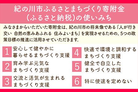 和歌山県 紀の川市 応援寄附 1口 1000円【返礼品なし】---kifunomi---