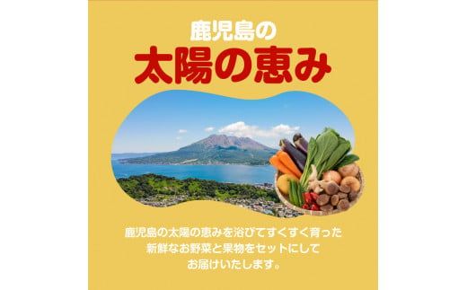 【JA直売所セレクト】6ヵ月定期便！旬鮮野菜・果物セット（12～14品目）　K072-T01