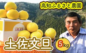 土佐文旦贈答用約5ｋｇ（高知ふるさと農園）　