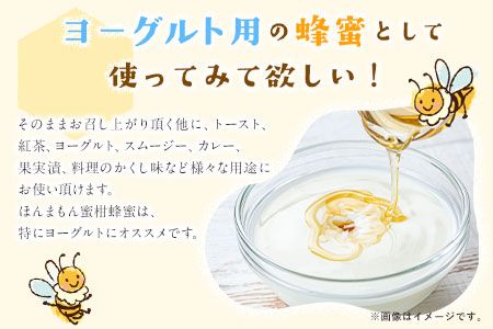 ほんまもん蜜柑（みかん）蜂蜜 1200g×1本 村上養蜂《30日以内に出荷予定(土日祝除く)》和歌山県 紀の川市---wsk_muraymh1_30d_23_20000_1200g---