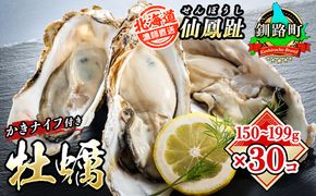 北海道 仙鳳趾名産 牡蠣 150g～199g×30コ＋かきナイフ付き漁師直送K4-4＜センポウシ : 釧路町の東 厚岸湾の西 カキの名産地＞　121-1269-40