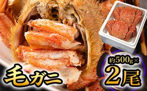 ふるさと納税 服 男 北海道 猿払村 イトウ　Tシャツ（白・Lサイズ） 12005 12005 イトウ　Tシャツ（白・Lサイズ） 12005】イトウ Tシャツ（白・Lサイズ）（北海道猿払村