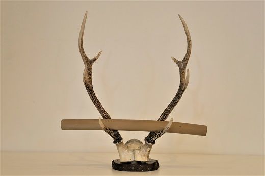天然ニホンジカの角 オブジェ(土台付き) ※離島不可 一般財団法人 天然ニホンジカの角 オブジェ(土台付き) ※離島不可 一般財団法人