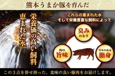  豚 肉 小分け しゃぶ しゃぶ 3種 熊本 うまか ポーク スライス 1.2-1.5kg 《11月出荷予定》熊本県産 冷凍 豚 豚肉 個別 個別包装 取分け 豚しゃぶ ぶたしゃぶ ロース バラ 肩ロース 鍋 トレー フィルム---oz_fumpsya_r7_12000_f1200g_ac11---