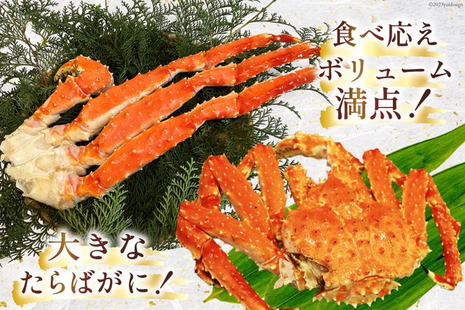 GD164 お手軽！たらばがに 800g（ハーフポーション加工済）[ ふるさと納税 長崎県 島原市 海鮮 カニ かに たらば 蟹足 ツメ 蟹肉 ハーフポーション 半むき身 ]