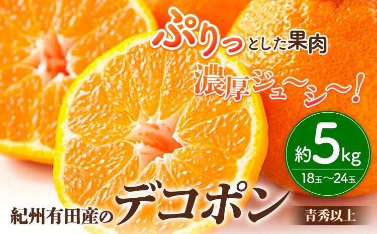 [お味濃厚]紀州有田産の デコポン 約 5kg(18玉〜24玉入り・青秀以上) 厳選館 [2025年1月下旬頃-4月上旬頃出荷]和歌山県 日高町 送料無料 柑橘 柑橘類 でこぽん---iwsh_gsk48_1g4j_24_18000_5kg---