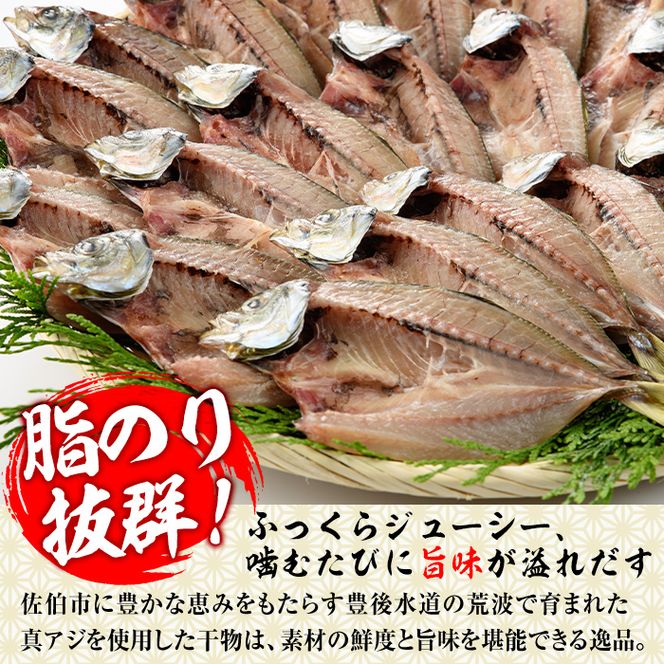 あじの開き(21枚)  魚 さかな 鯵 アジ おかず 肴 おつまみ 国産 大分県 佐伯市【GN011】【Ichihashi企画】