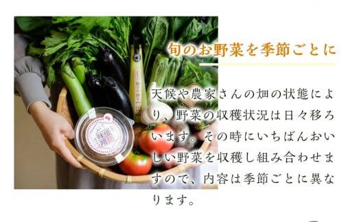【定期便】2026年7月発送開始 野菜5種5品3ヶ月定期便 /// 奈良県 野菜 野菜セット 定期便 核家族 小さめセット 月1配送 予約 夏野菜 おすすめ 野菜定期便