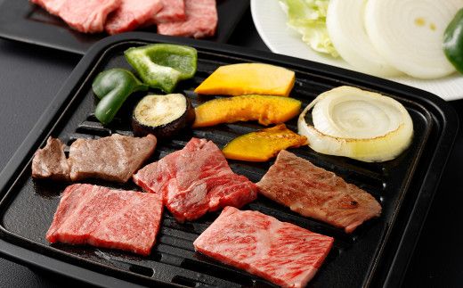 ＜霜降り 焼肉 300g×2＞翌月末迄に順次出荷【c1178_ya】