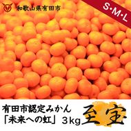 327.有田市認定みかん「未来への虹」至宝(3kg)【日本初自治体認定フルーツ】(A327-2)