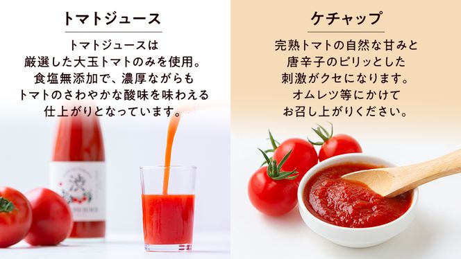 【 数量限定】【先行予約 】 -太陽の味- トマトジュース・トマトケチャップ各2本セット トマト フルーツトマト ミニトマト 茨城 リコピン ビタミン 野菜 甘い 直売所 トマトジュース ケチャップ [EL03-NT]