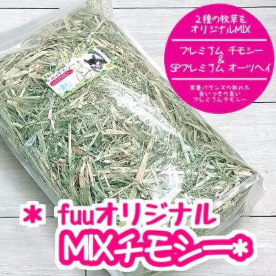 ymqszfuu IWi@MIX`V[i1gjm145SA04n