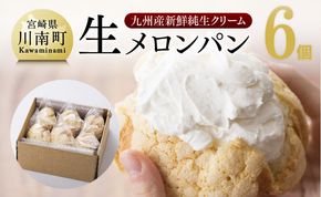 パン 『押川春月堂本店』生メロンパン6個
