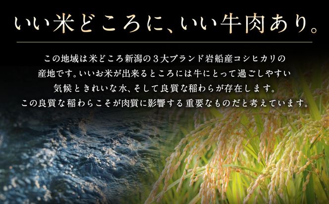 【赤身と霜降りミックス】村上牛 焼肉 500g×1パック 約2～3人前 厚めにカット 生産者直送 にいがた和牛 santaふぁーむ [B4001]