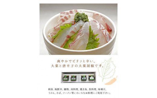 【K01013】大葉胡椒 4個セット