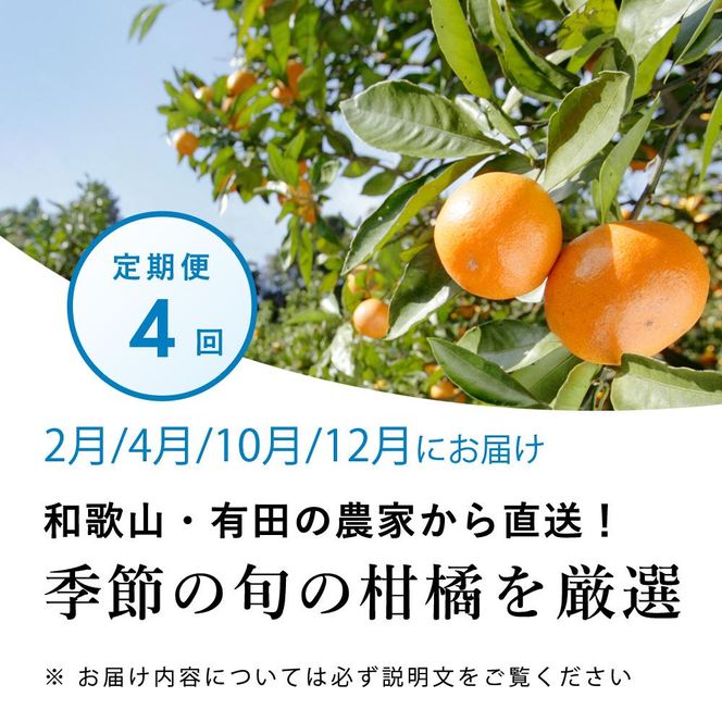 【 2・4・10・12月 全4回 】 柑橘定期便B【IKE6】BB90147