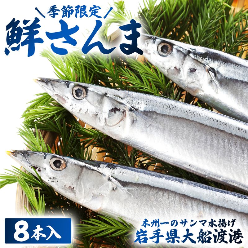 [予約受付中]鮮さんま 8本入 (1尾 100g〜120g) 岩手大船渡産 サンマ 秋刀魚 海鮮 魚貝類 魚介類 産地直送 新鮮 期間限定 鮮魚 新鮮さんま 魚 焼き魚 三陸さんま 岩手 大船渡市 [oikawa011_1]