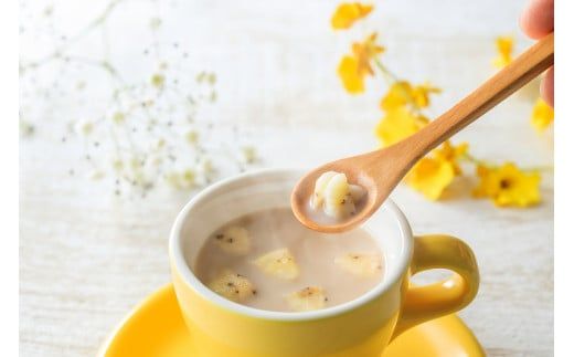 a10-876　FORIVORA ルイボスラテ＆アールグレイラテセット 30P