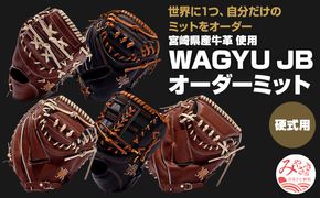 宮崎県産牛革使用 WAGYU JB硬式用オーダーミット_M147-046_01